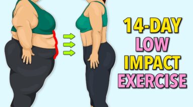 14-Day Low Impact Standing Exercise – Lose Belly Fat Without Jumping