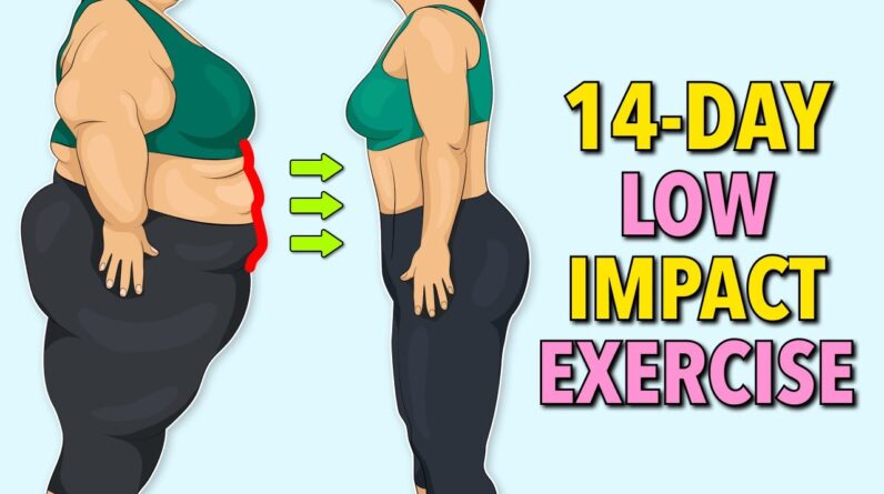 14-Day Low Impact Standing Exercise – Lose Belly Fat Without Jumping