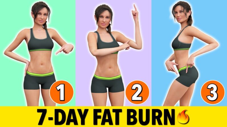 7-Day No Repeat Fat Burn: Low Impact Full Body Transformation
