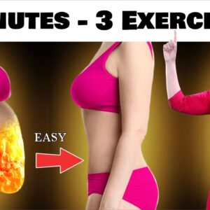 Get A Flat Stomach & Lose Fat- 3 Easy Moves | 3 Minutes (No Jumping, No Squat, No Gym)