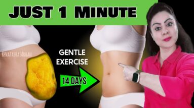 1 Min Gentle - No Impact Standing Exercises To Burn Belly Fat ( No Jumping / No Plank )
