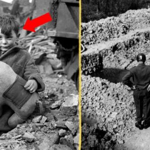 Die 35 Tragischsten Und Herzzerreißendsten Fotos Des Zweiten Weltkriegs