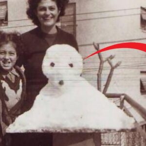 Diese alten Fotos sollten NIEMALS von der Öffentlichkeit gesehen werden!