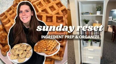 Sunday RESET | Ingredient/Meal Prep & Organize with Me | Staying on Track With Weight Loss