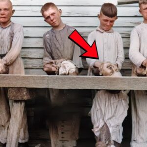 20 Kolorierte Kuriose Historische Fotos, Die Dich Überraschen Werden!