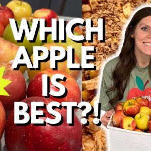 Ultimate Apple Taste Test | Finding a New Favorite Apple | 3 Point Healthy Apple Crisp Recipe