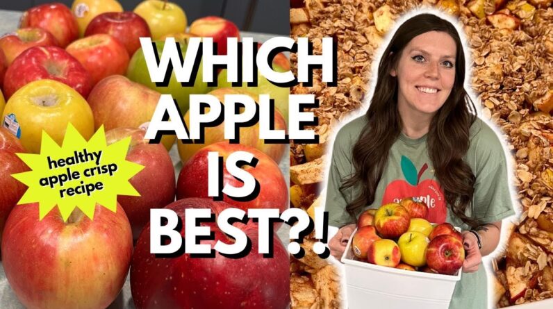 Ultimate Apple Taste Test | Finding a New Favorite Apple | 3 Point Healthy Apple Crisp Recipe