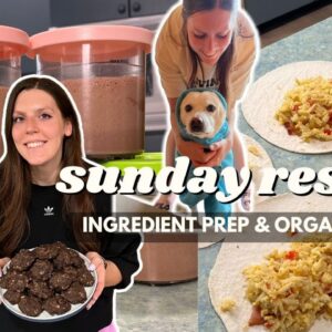 Sunday RESET | Ingredient/Meal Prep & Organize with Me | Staying on Track With Weight Loss