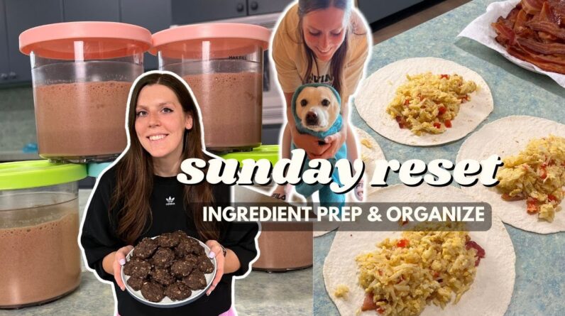 Sunday RESET | Ingredient/Meal Prep & Organize with Me | Staying on Track With Weight Loss