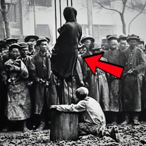 UNGESEHENE Historische Bilder, Die Lauter Sprechen Als Geschichtsbücher