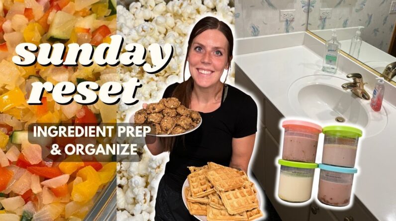 Sunday RESET | Ingredient/Meal Prep, Organize | Staying on Track | Creamis & Breakfast Cookies