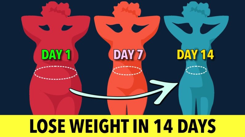 14 Days Weight Loss Challenge - Home Workout Routine