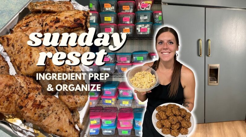 Sunday RESET | Ingredient/Meal Prep, Organize | Staying on Track | Pumpkin Cookies, Chicken Salad