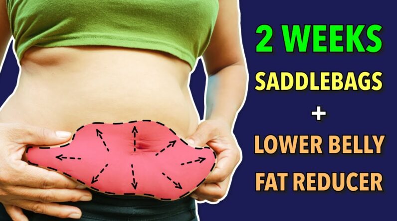 Saddlebags + Lower Belly Fat Reducer: Lose Stubborn Fat in 2 Weeks