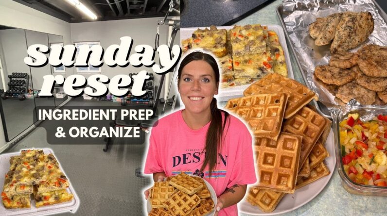 Sunday RESET | Ingredient/Meal Prep, Organize | Staying on Track | waffles, egg bake, burgers