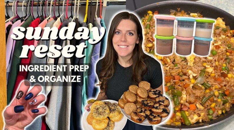 Sunday RESET | Ingredient/Meal Prep, Organize | Staying on Track | Bagels, Fried Rice, Pancake Bites