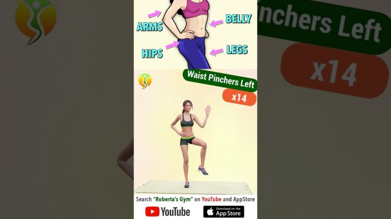 #30min Arm + #belly + #hips + #Leg : #stubbornfat Burn #workout @RobertasGym #homeworkout #fitness