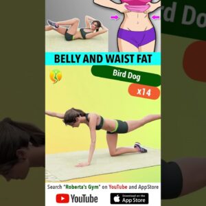 #morning #belly and #Waist #fatlossworkout #athome@RobertasGym#weightloss #workout #morningroutine
