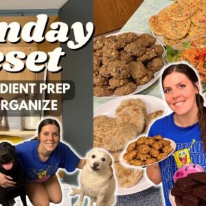 Sunday RESET | Ingredient/Meal Prep, Organize | Staying on Track | Breakfast Cookies, Egg Bites