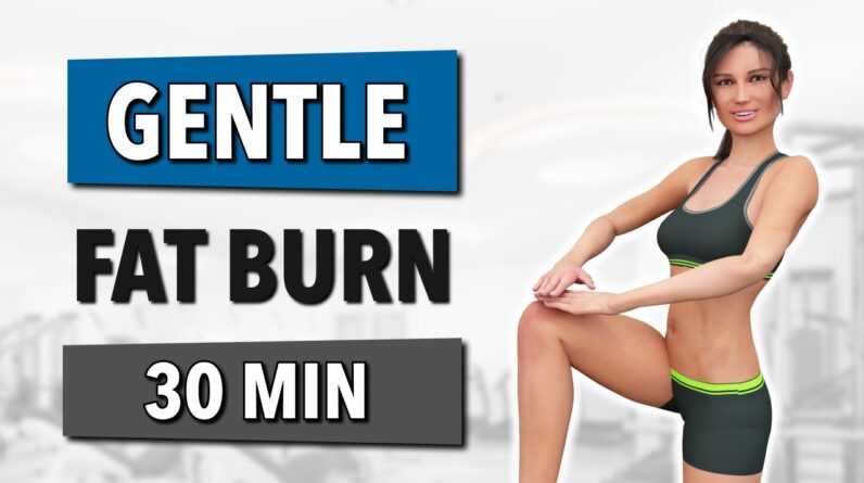 30 Minute Gentle Cardio Workout to Burn Full Body Fat (NO JUMPING)