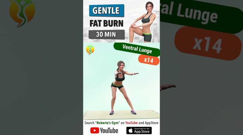 30 Minute Gentle #cardioworkout to Burn #fullbody #fat (#nojumping ) @RobertasGym #weightloss