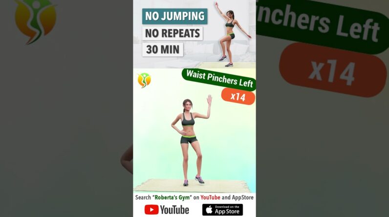 30 Min #fullbodyfatburn #nojumping #norepeat ⁨#weightloss #homeworkout #lowimpactworkout