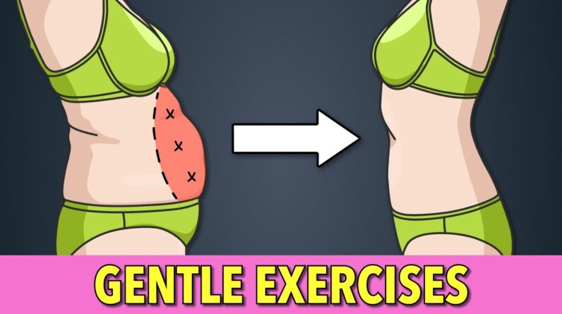 Impact Free Belly Fat Workout | Standing Low Impact Home Workout