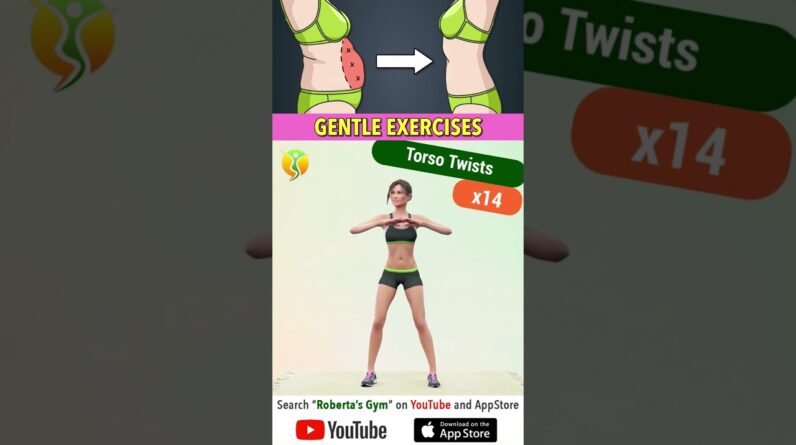 Impact Free #bellyfatworkout | #standing #lowimpact #homeworkout  ⁨@RobertasGym #weightloss
