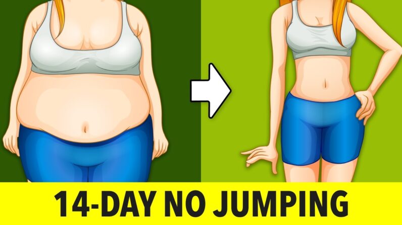 14-Day Standing Workout (No Jumping) – Lose Belly Fat