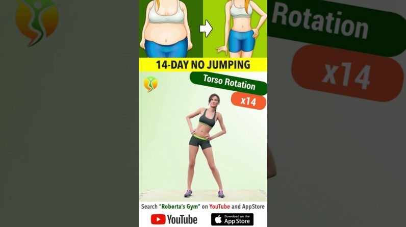 14-Day #standingworkout ( #nojumping ) – #losebellyfat  ⁨@RobertasGym⁩