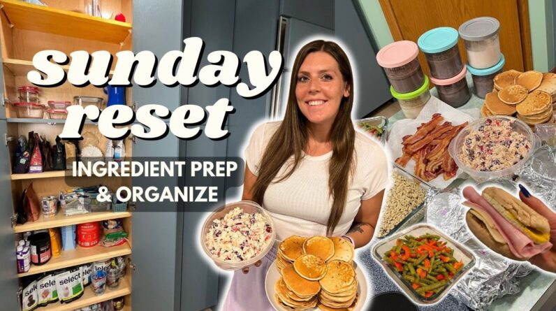 Sunday RESET | Ingredient/Meal Prep, Organize | Staying on Track | Creami, Protein Pancakes, Veggies