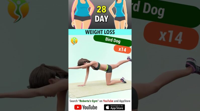 28-Day #fullbodyweightloss #work`out ⁨@RobertasGym  #homeworkout #weightloss #fitness
