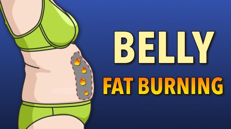 Easy Belly Fat Burning Workout: No stress on your joints!