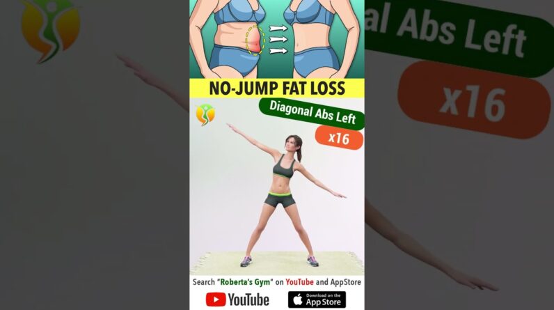 15 #gentleexercises to #losebellyfat Without Jumping @RobertasGym  #homeworkout #weightloss
