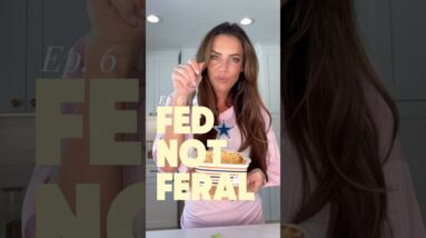 High protein buffalo chicken dip | Fed Not Feral