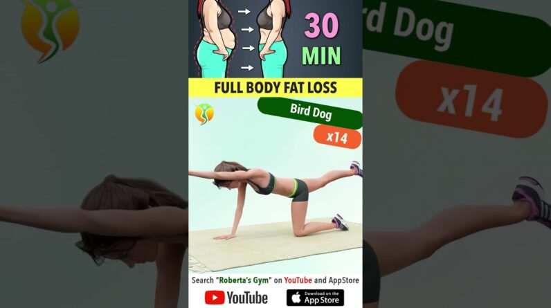 #30min #fullbodyworkout for #effective #fatloss @RobertasGym  #homeworkout #weightloss #fitness